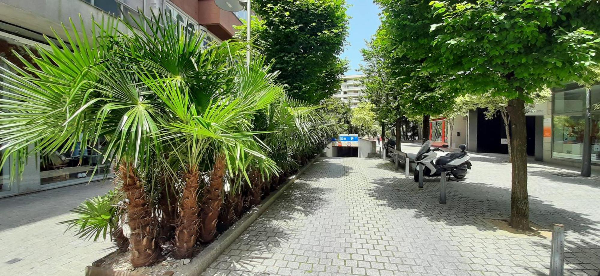 Araucaria Apartment *